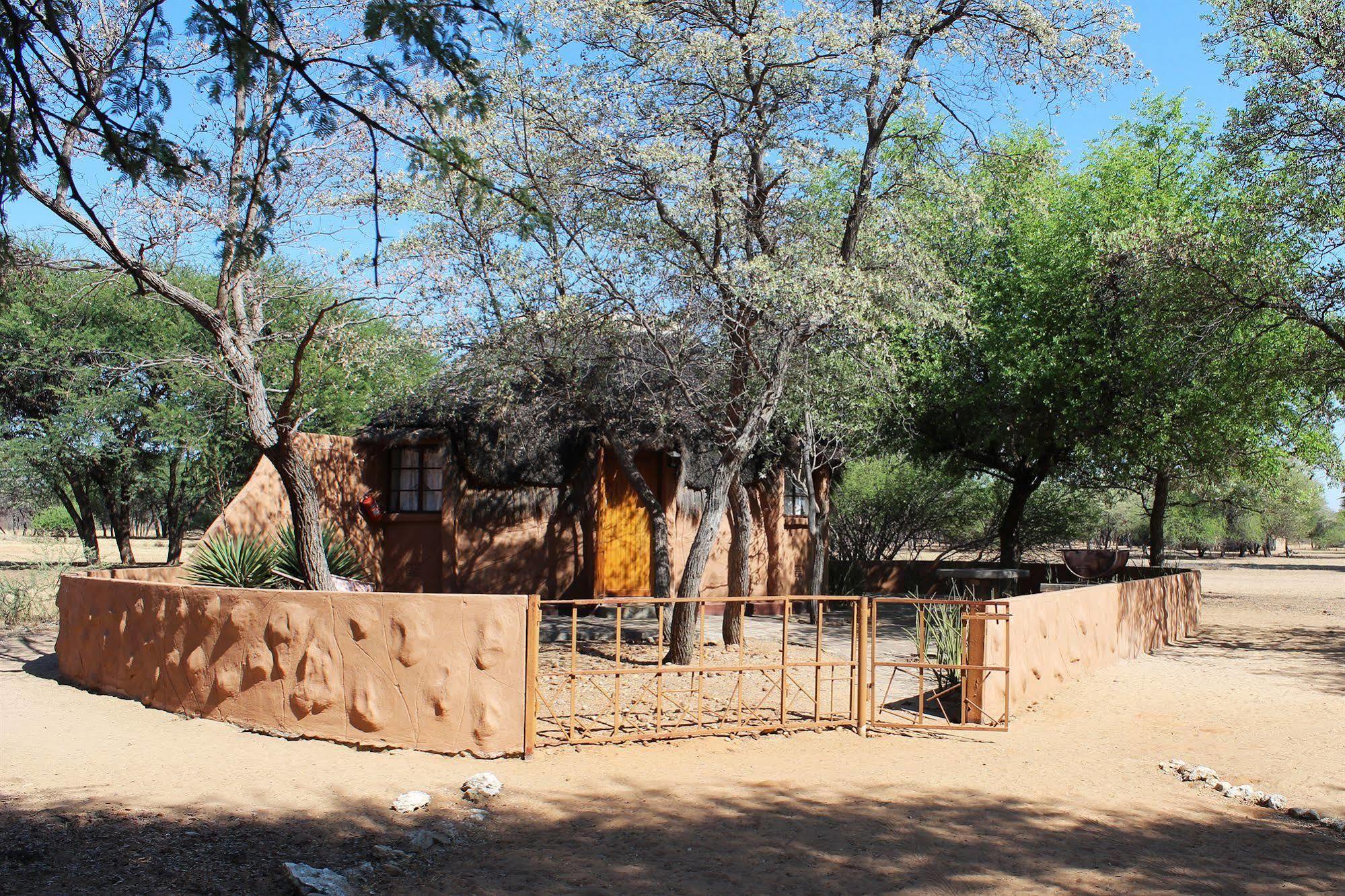 Harnas Wildlife Foundation Gobabis Eksteriør billede