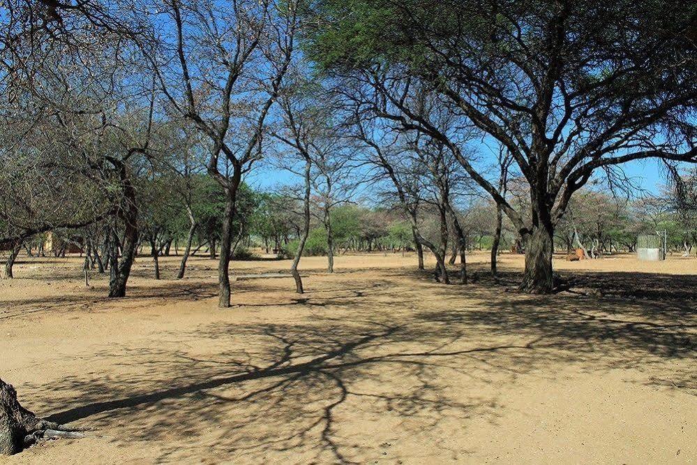 Harnas Wildlife Foundation Gobabis Eksteriør billede